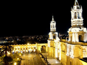 Vida nocturna imagen